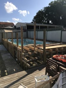 IMG_0919